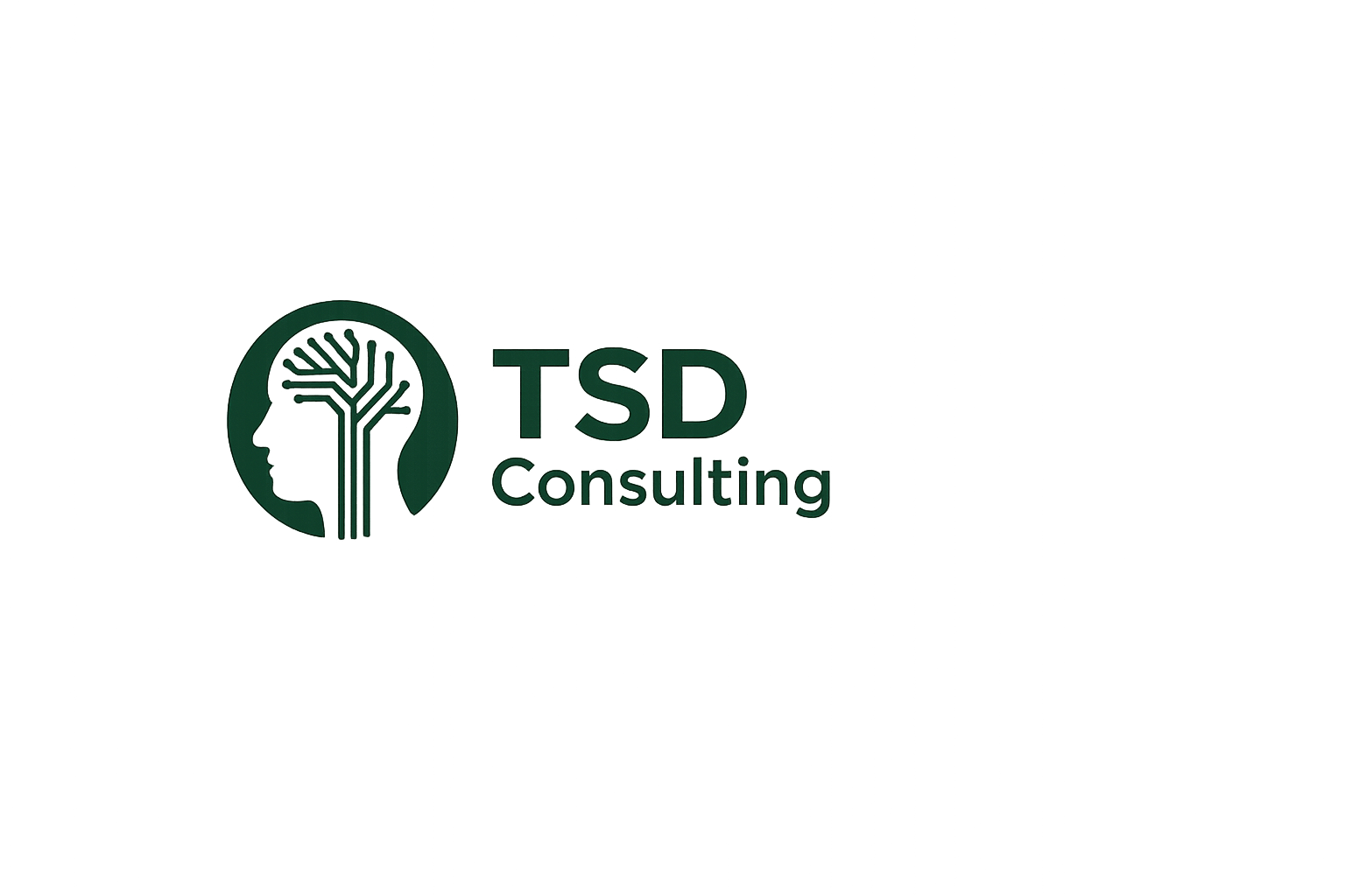 TSD Consulting